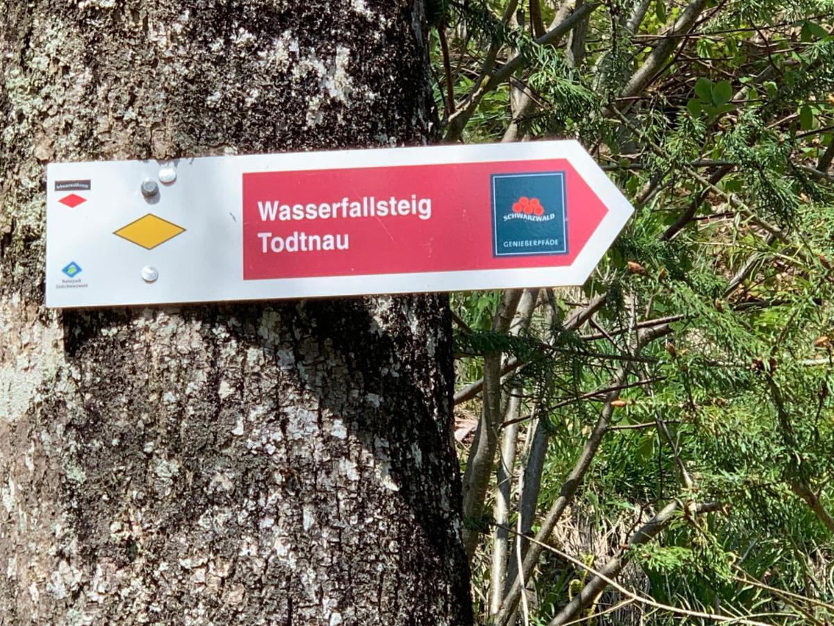 Residenz Schauinsland Todtnauberg - Fewo 17 - Sauna - Spielzimmer Fuer Kinder - Naehe Feldberg Exterior photo